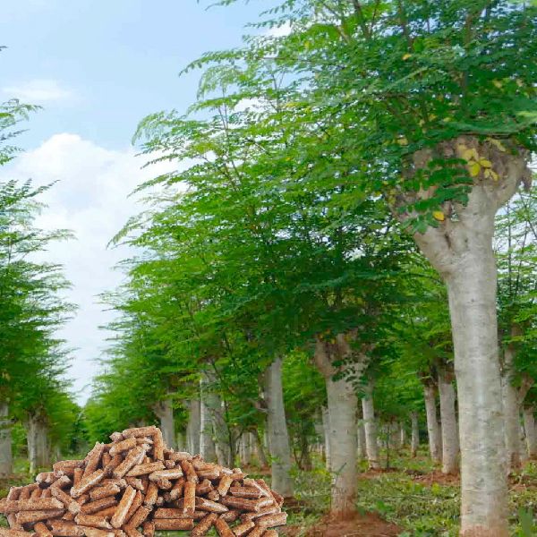 Energías Renovables